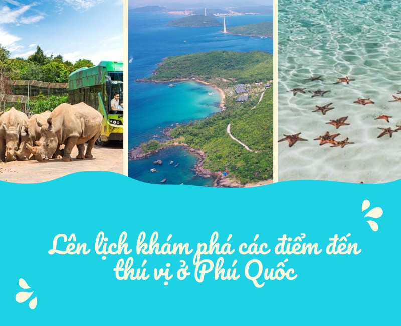 giá vé máy bay Đà Nẵng Phú Quốc-3