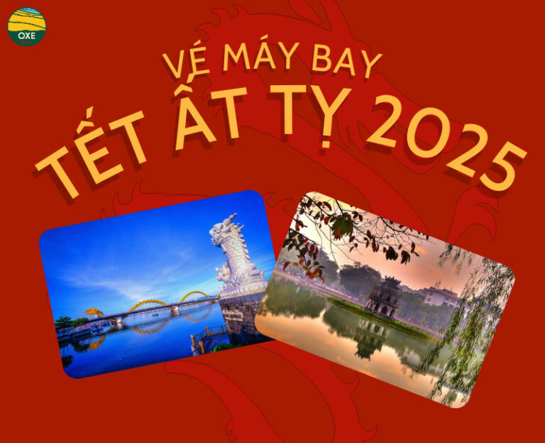 tra-cuu-ve-may-bay-tet-2025-1