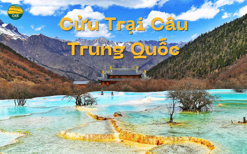 cuu-trai-cau-trung-quoc-cover