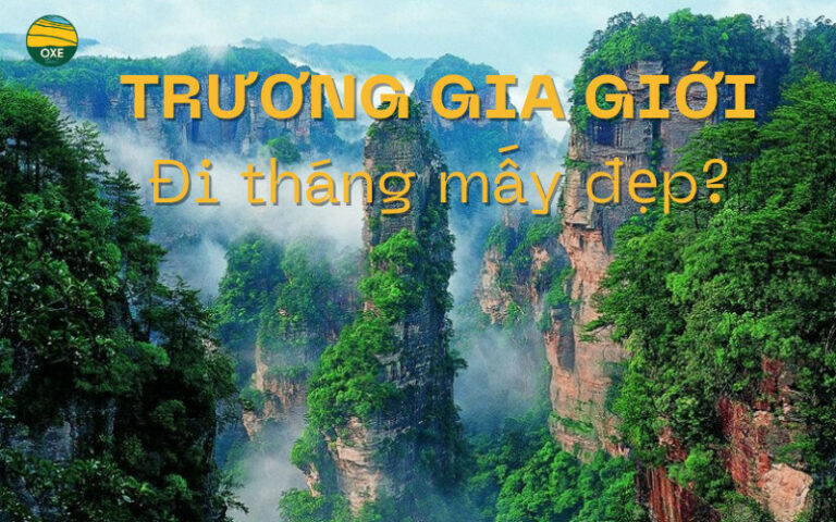 truong-gia-gioi-di-thang-may-dep-cover